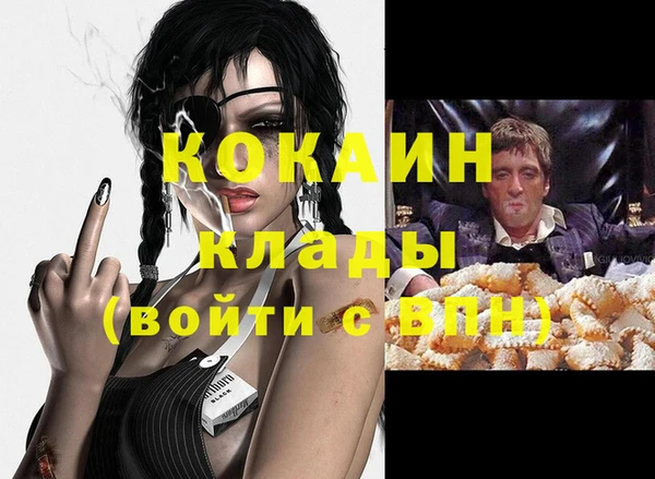 мдпв Ладушкин