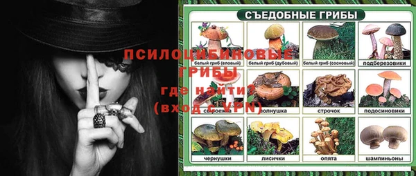 МДПВ Лиски