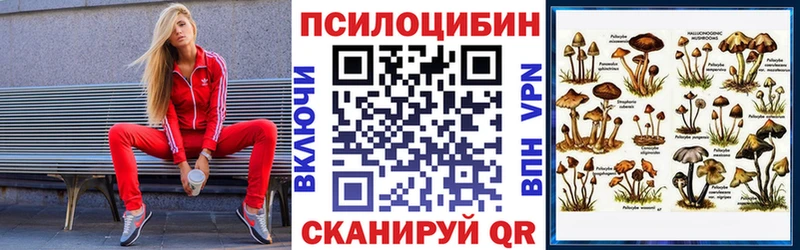 Псилоцибиновые грибы мухоморы Купить закладки Урень