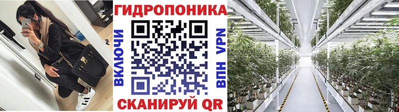 Бошки Шишки план  Купить  Урень 